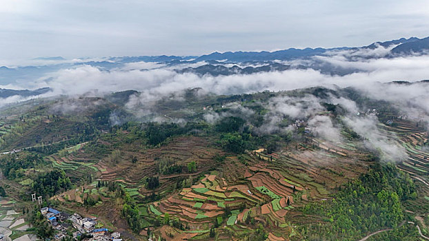 重庆酉阳,青山雾漫别样美