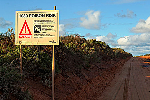 毒物,危险,签到,澳大利亚,乡野,区域,鲨鱼湾,西澳大利亚