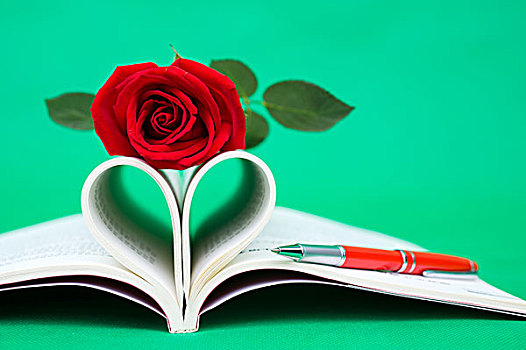 页面,书本,弯曲,心形,玫瑰