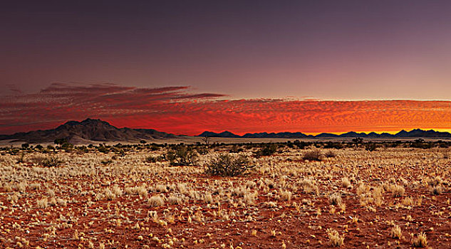 彩色,日落,卡拉哈里沙漠,纳米比亚