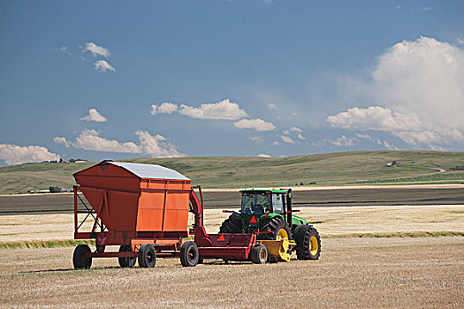 拖拉机,切削,土地,艾伯塔省,加拿大