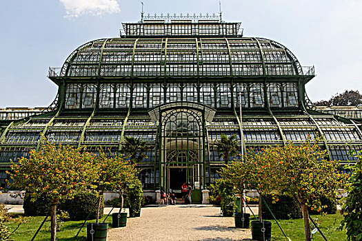 棕榈室,美泉宫,维也纳,奥地利,欧洲