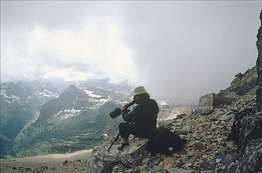 摄影,大灰熊,棕熊,高处,木料,线条,镜头,冰川国家公园,蒙大拿