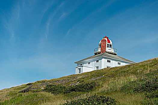 灯塔,海岸,纽芬兰,拉布拉多犬,加拿大