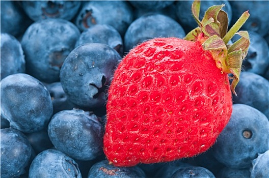 新鲜,草莓,蓝色,浆果