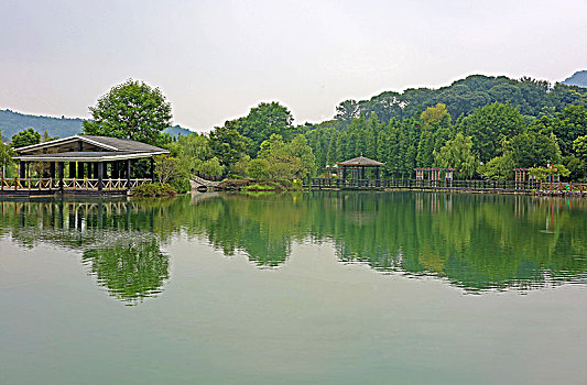 江西新余双林湿地公园