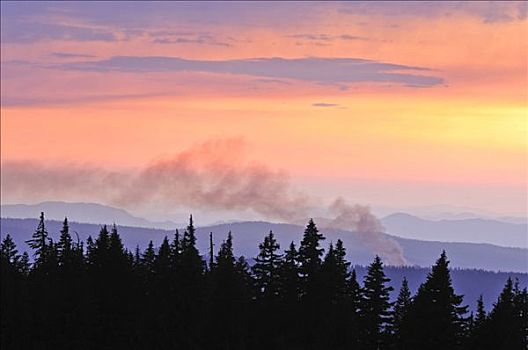 森林火灾,火山湖国家公园,俄勒冈,美国,北美