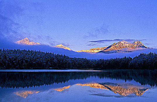 顶峰,赫伯特湖,日出,班芙国家公园,艾伯塔省,加拿大