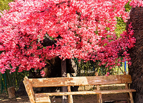 临沂兰陵国家农业公园休息座椅美景美图