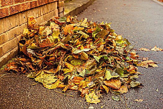 堆,叶子,街上,秋天