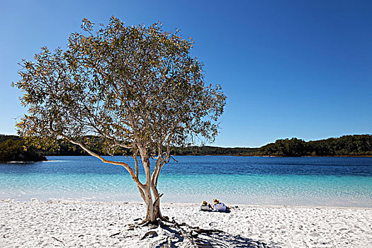 情侣,躺着,沙滩,靠近,宽叶,湖,世界遗产,弗雷泽岛,沙,国家公园,昆士兰,澳大利亚,大洋洲