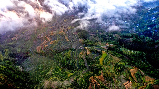 乡村美景