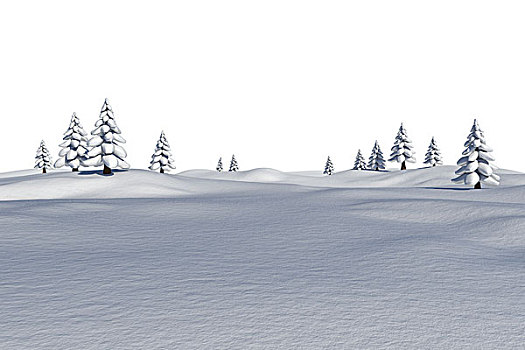 白色,雪景,冷杉
