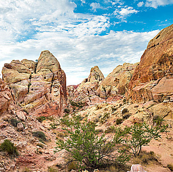 岩石构造,砂岩,白色,圆顶,小路,火焰谷州立公园,莫哈维沙漠,内华达,美国,北美