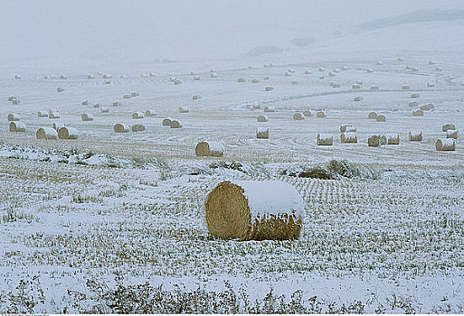 雪盖,地点