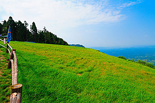 野鸡坪