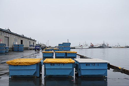 三文鱼,渔船,港口
