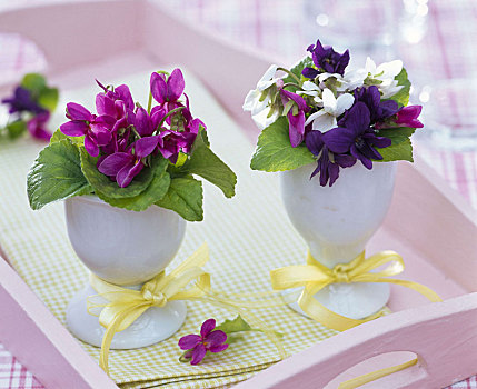小,花束,堇菜属,紫罗兰,蛋杯