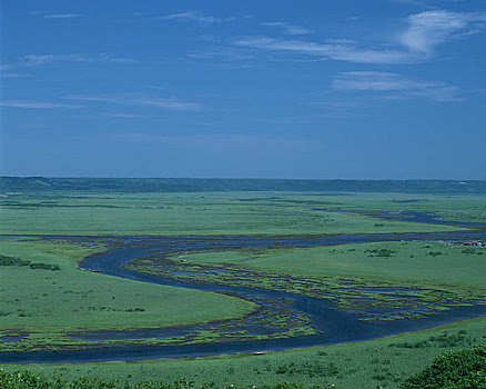 湿地