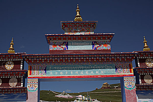 藏居寺庙草原牛羊,喇叭觉母,草原