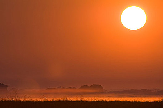 日出,国家公园,赞比亚