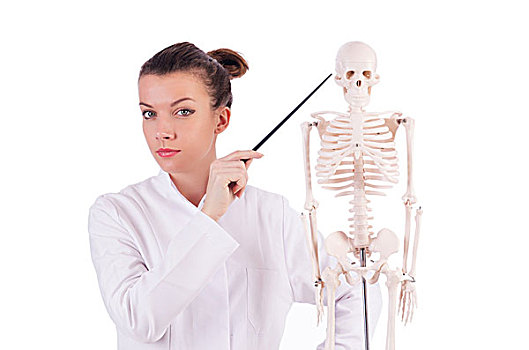 博士,骨骼,白色背景