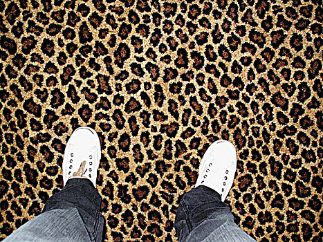 鞋,豹纹,地毯