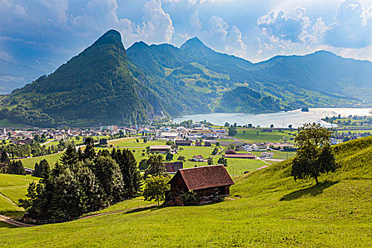 乡村,湖,施维茨,瑞士