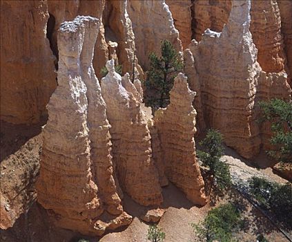 怪岩柱,峡谷,美国