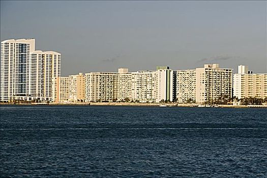 建筑,水岸,迈阿密,佛罗里达,美国