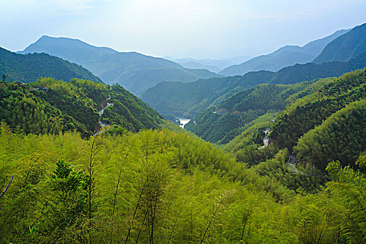 山,树林,雾气,云海,氤氲,绿色,树木,乡村