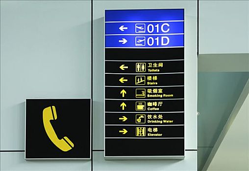 信息,引导,英文,中国,大写字母,机场,北京