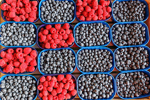 蓝莓,树莓,碗,市场货摊,克拉根福,卡林西亚,奥地利,欧洲