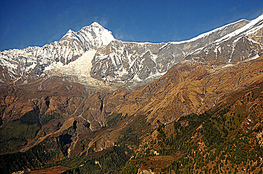 尼泊尔,喜马拉雅山,上方,波卡拉,山,站立