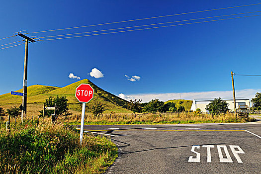 交叉,停车标志,丰盛湾,北岛,新西兰