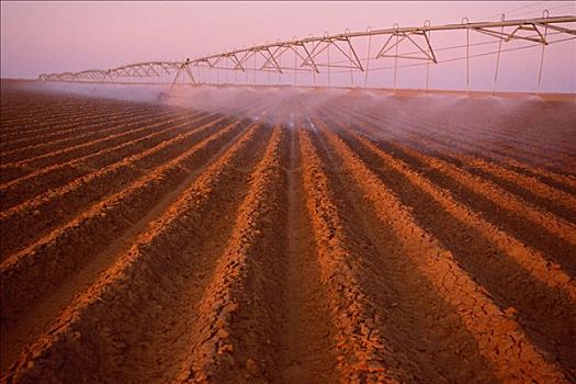 灌溉,德克萨斯,美国