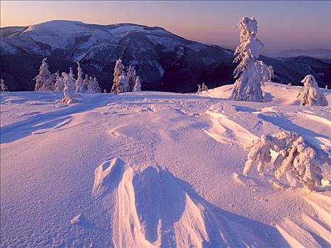 雪景,山峦,防护,风景,区域,北方,摩拉维亚,捷克共和国,欧洲