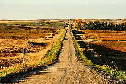 笔直,道路,宽,草原,萨斯喀彻温,加拿大