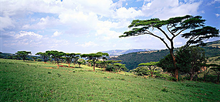 风景,坦桑尼亚
