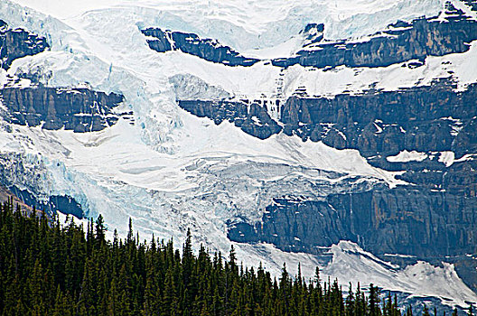 冰河,山,碧玉国家公园,艾伯塔省,加拿大