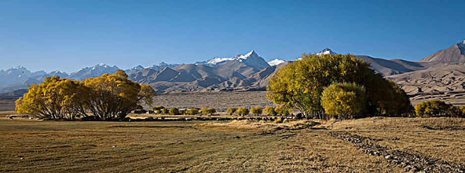 新疆塔什库尔综合与慕士塔格峰