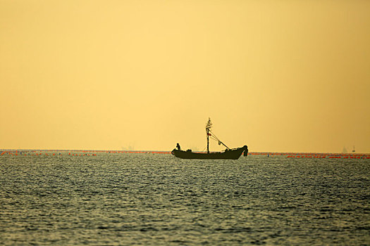 山东省日照市,渔船在金色波涛中拉网捕鱼