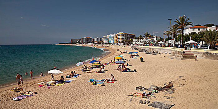 海滩,海岸,哥斯达黎加,加泰罗尼亚,西班牙,欧洲