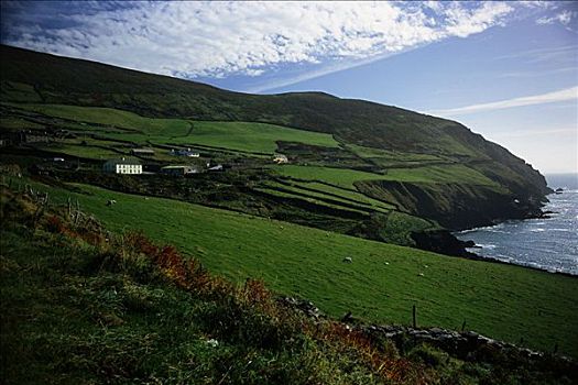 俯视,风景,海岸线,丁格尔半岛,爱尔兰