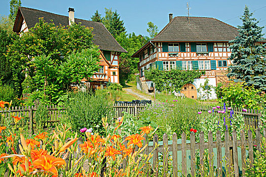 农场,房子,屋舍,花园,瑟尔高,瑞士,欧洲