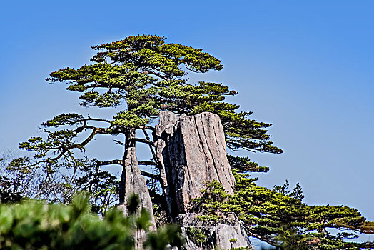 安徽黄山景观