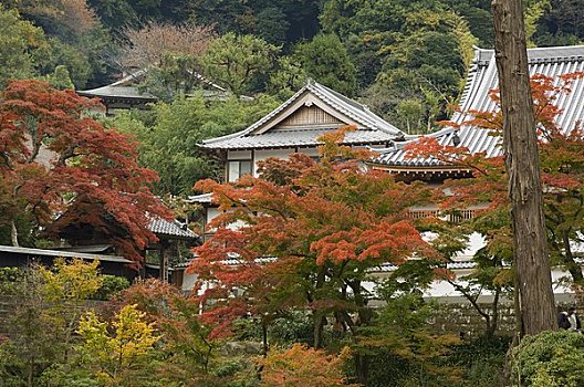 镰仓,日本