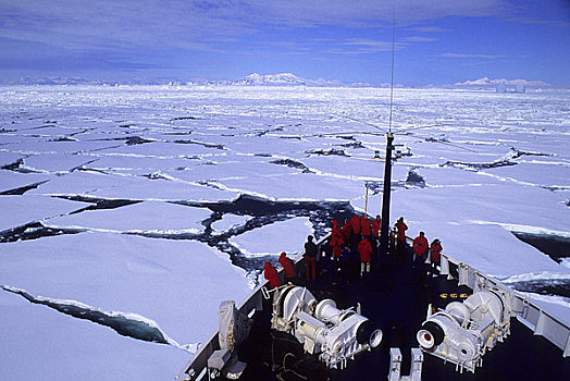 南极半岛,靠近,游船,世界,浮冰