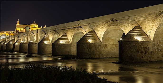 科多巴,桥,夜晚