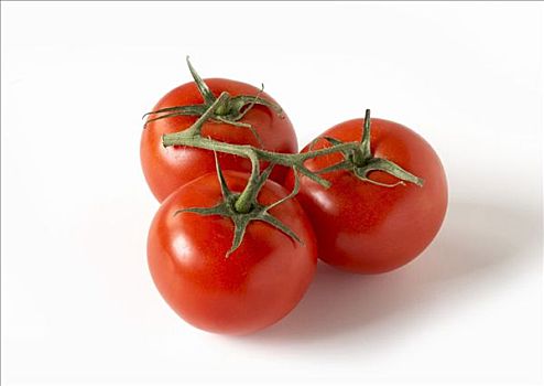 三个,藤,成熟,西红柿,白色背景